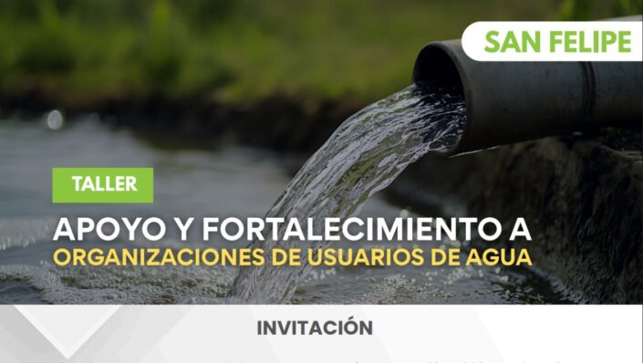 WhatsApp Image 2026-01-05 at 14.32.31